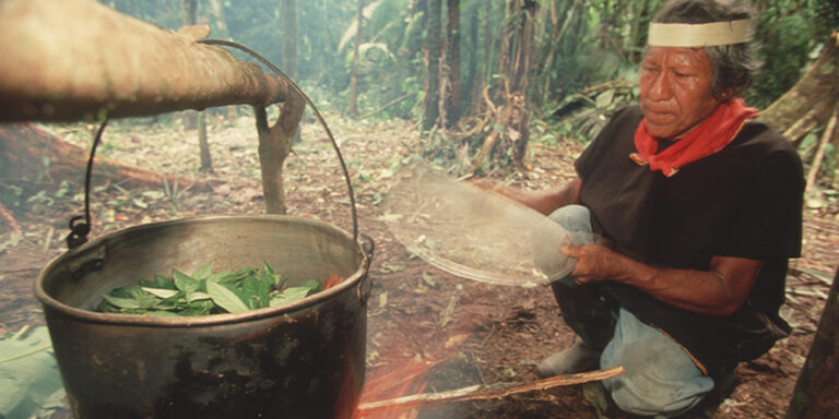 Come funziona una cerimonia con l’ayahuasca
