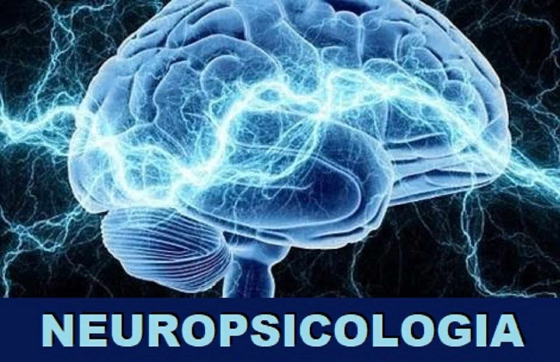 neuropsicologia