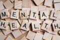 LA SALUTE MENTALE E IL PNRR: “la salute mentale non è meno importante della salute fisica” -video, diapo e report del seminario