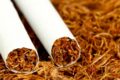 La prima causa evitabile di emissioni di CO2: l'industria del tabacco!