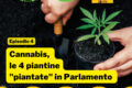 ONDA VERDE EPISODIO 4: le 4 piantine piantate in Parlamento