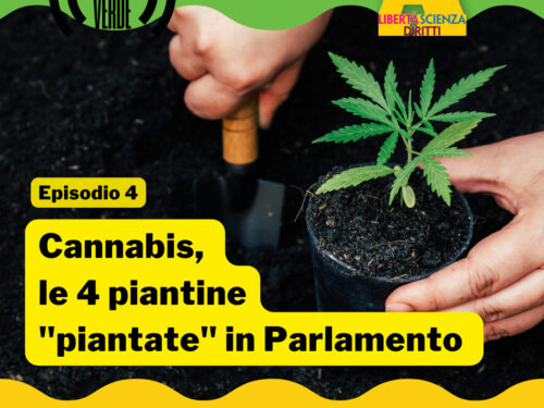 ONDA VERDE EPISODIO 4: le 4 piantine piantate in Parlamento