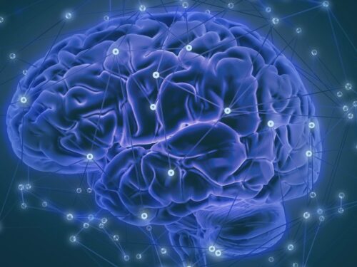 Cos’è la Neuropsicologia