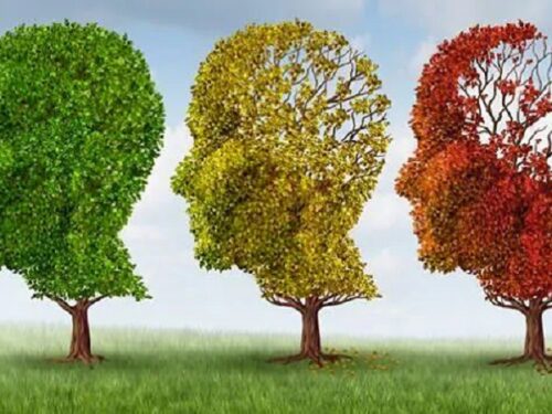 La demenza o deterioramento cognitivo cronico-progressivo