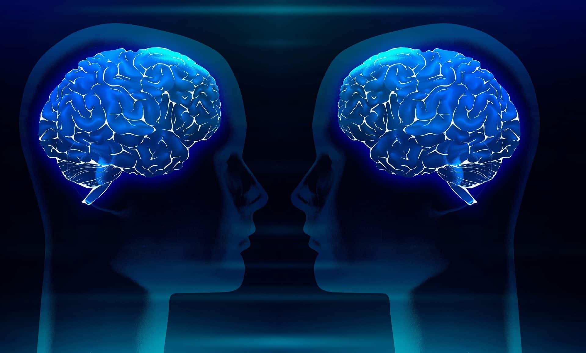 neuroni specchio